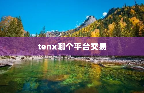 tenx哪个平台交易