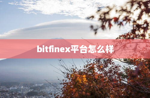 bitfinex平台怎么样