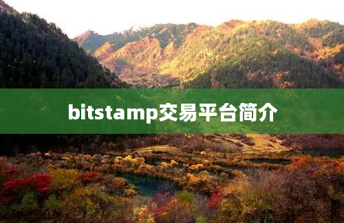 bitstamp交易平台简介