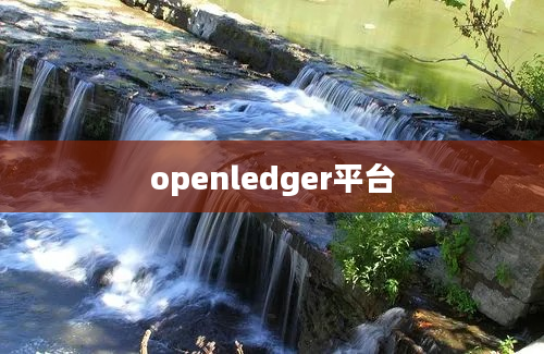 openledger平台
