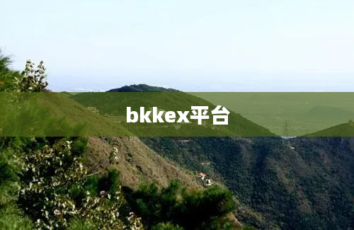 bkkex平台