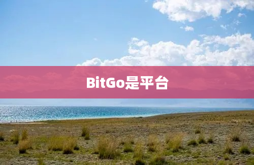 BitGo是平台