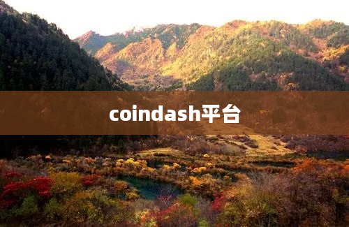 coindash平台