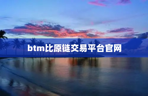 btm比原链交易平台官网