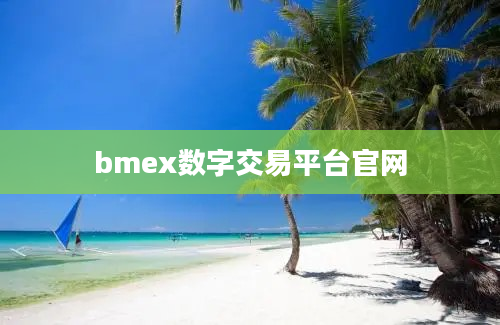 bmex数字交易平台官网