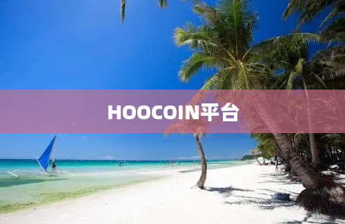 HOOCOIN平台