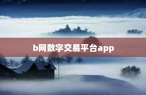 b网数字交易平台app