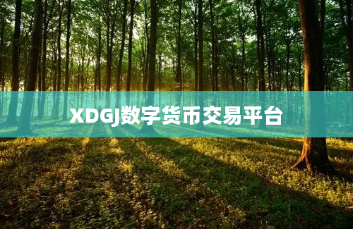 XDGJ数字货币交易平台