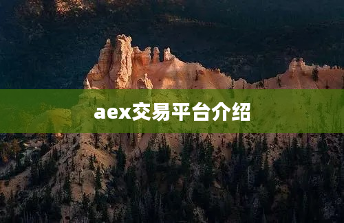 aex交易平台介绍