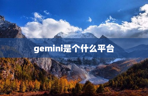gemini是个什么平台