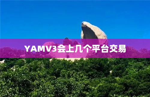 YAMV3会上几个平台交易