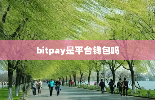 bitpay是平台钱包吗