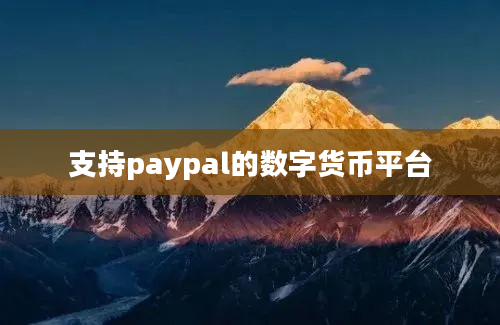 支持paypal的数字货币平台