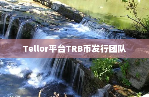 Tellor平台TRB币发行团队