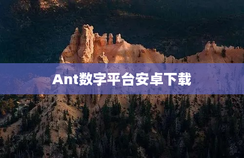Ant数字平台安卓下载