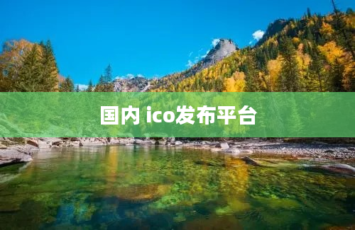 国内 ico发布平台