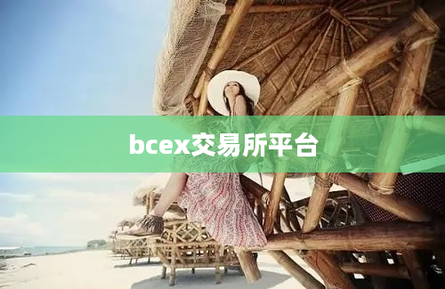 bcex交易所平台