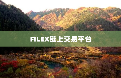 FILEX链上交易平台