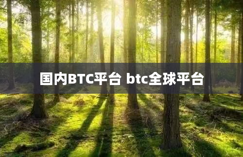 国内BTC平台 btc全球平台